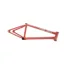 Kink Crosscut Frame Gloss Coral