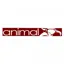 Animal Street Sticker 25 Inch Maroon