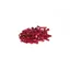 Salt Pro Spoke Nipples Red